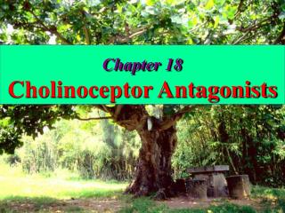 Chapter 18 Cholinoceptor Antagonists