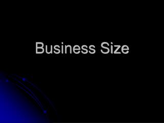 Business Size