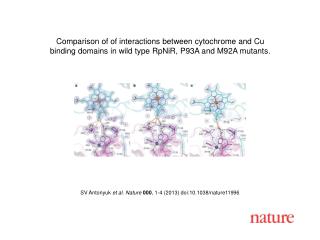 SV Antonyuk et al. Nature 000 , 1-4 (2013) doi:10.1038/nature11996