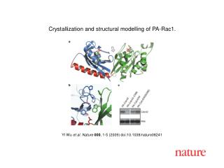 YI Wu et al. Nature 000 , 1 - 5 (2009) doi:10.1038/nature08 241