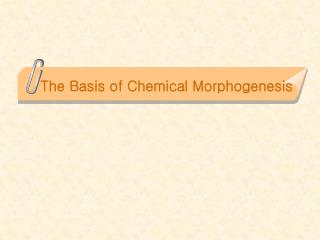 The Basis of Chemical Morphogenesis