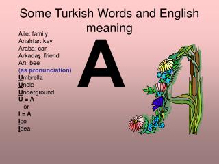 Some Turkish Words and English meaning