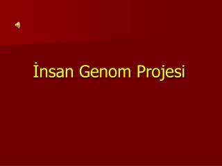 İnsan Genom Projesi