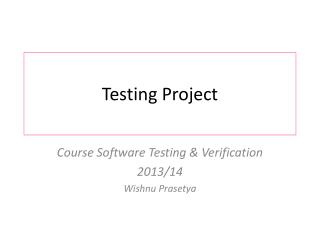 Testing Project