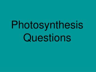 Photosynthesis Questions