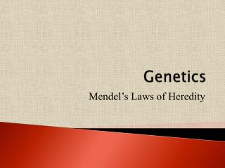 Genetics