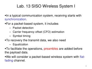 Lab. 13 SISO Wireless System I