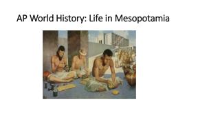 AP World History: Life in Mesopotamia