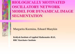 BIOLOGICALLY MOTIVATED OSCILLATORY NETWORK MODEL FOR DYNAMICAL IMAGE SEGMENTATION