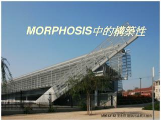 MORPHOSIS 中的構築性