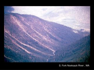 S. Fork Nooksack River , WA