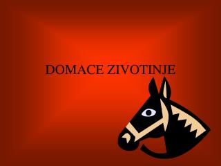 DOMACE ZIVOTINJE