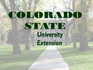 COLORADO STATE