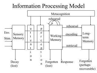 Sensory Memory