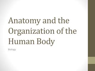 Anatomy and the Organization of the Human Body