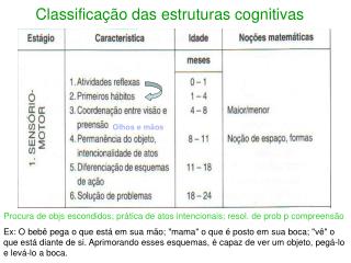 Classificação das estruturas cognitivas