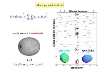 Shape parameterization