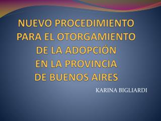 NUEVO PROCEDIMIENTO PARA EL OTORGAMIENTO DE LA ADOPCIÓN EN LA PROVINCIA DE BUENOS AIRES