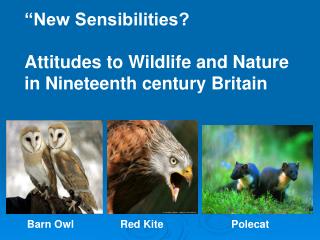 “New Sensibilities? Attitudes to Wildlife and Nature in Nineteenth century Britain