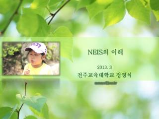 NEIS 의 이해