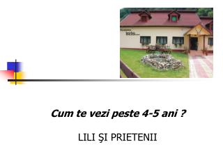 Cum te vezi peste 4-5 ani ? LILI ŞI PRIETENII