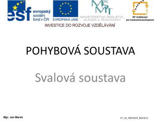 POHYBOVÁ SOUSTAVA