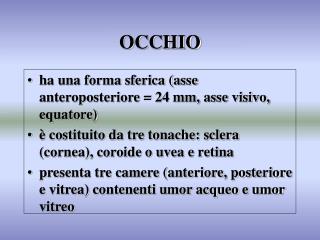 OCCHIO