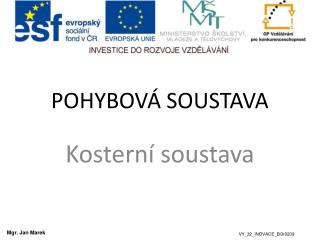 POHYBOVÁ SOUSTAVA