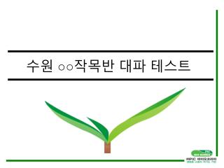 수원 ○○ 작목반 대파 테스트