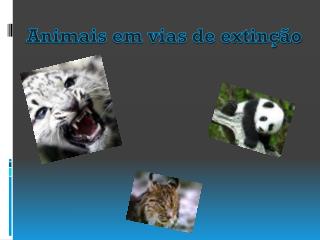 Animais em vias de extinção