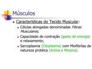Músculos