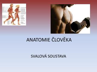 ANATOMIE ČLOVĚKA