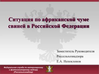 Ситуация по африканской чуме свиней в Российской Федерации