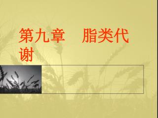 第九章 脂类代谢