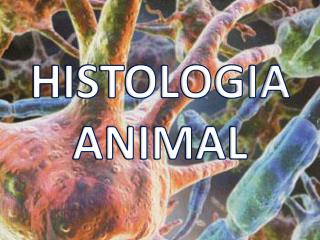 HISTOLOGIA ANIMAL