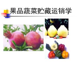 果品蔬菜贮藏运销学