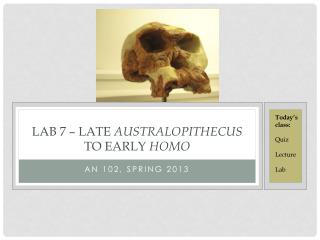 LAB 7 – LATE AUSTRALOPITHECUS TO EARLY HOMO