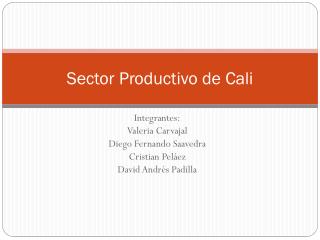 Sector Productivo de Cali