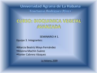 SEMINARIO # 1. Equipo 3. Integrantes: Marcia Beatriz Moya Fernández Alianna Machín Suárez