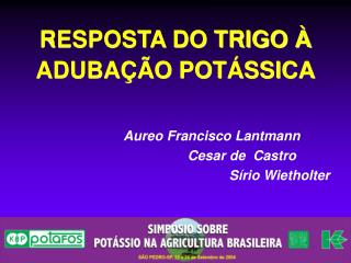 Aureo Francisco Lantmann Cesar de Castro