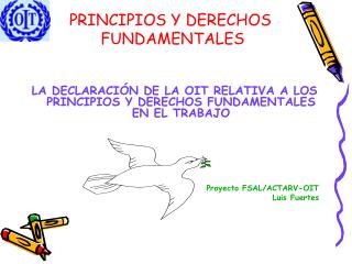 PRINCIPIOS Y DERECHOS FUNDAMENTALES
