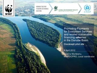 Promoting Payments for Ecosystem Services and related sustainable financing schemes