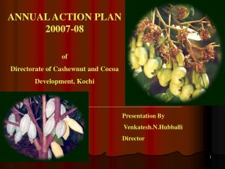 ANNUAL ACTION PLAN 20007-08 of Directorate of Cashewnut and Cocoa Development, Kochi