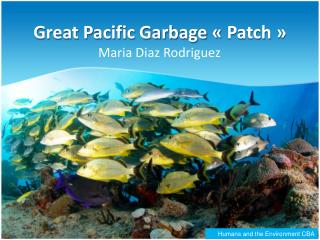 Great Pacific Garbage « Patch »