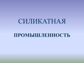 СИЛИКАТНАЯ