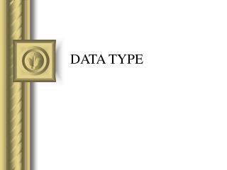 DATA TYPE