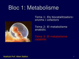 Bloc 1: Metabolisme