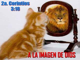 A LA IMAGEN DE DIOS