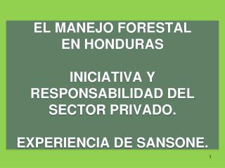 EL PLAN DE MANEJO FORESTAL UNA HERRAMIENTA DE SOSTENIBILIDAD,