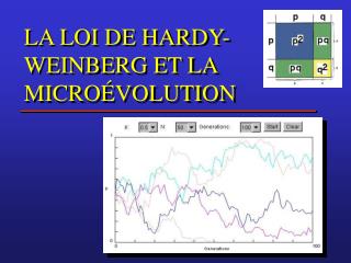 LA LOI DE HARDY-WEINBERG ET LA MICROÉVOLUTION